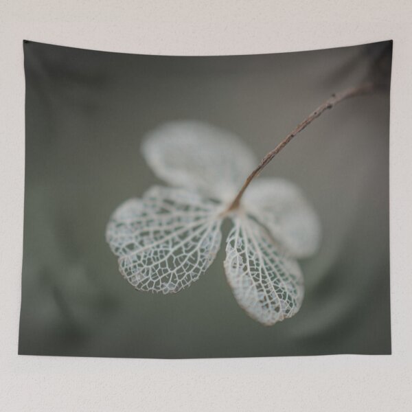 Item preview, Dried Hydrangea designed and sold by SofiaAlves.