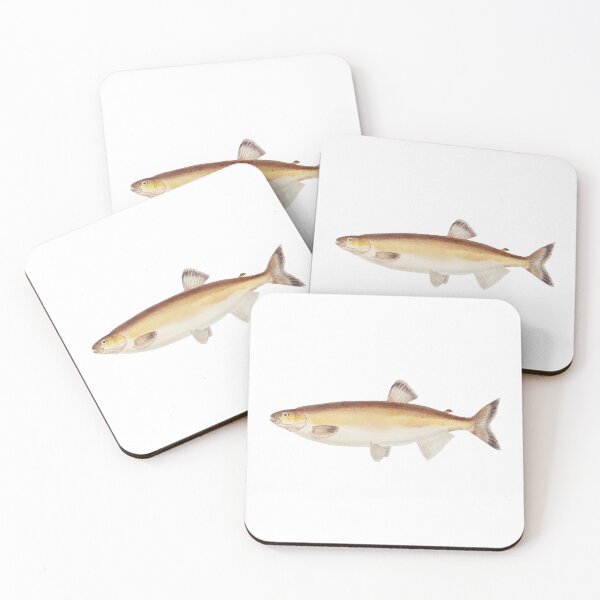Item preview, Antique Fish Prototroctes Maraena Australian Grayling designed and sold by AmethystMurad.
