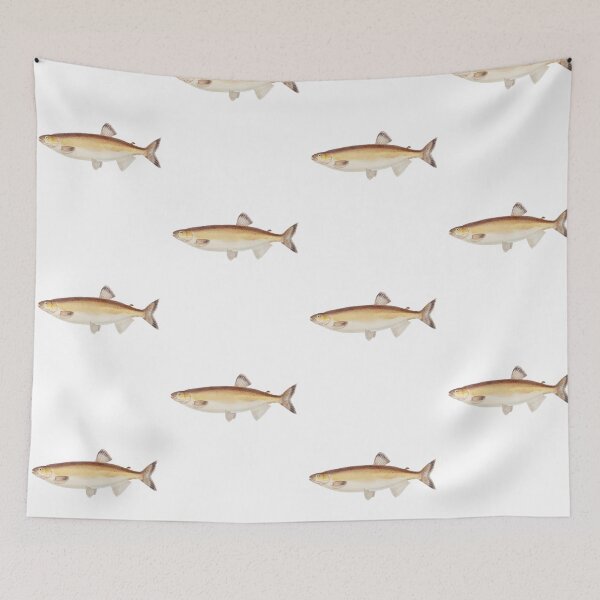 Item preview, Antique Fish Prototroctes Maraena Australian Grayling designed and sold by AmethystMurad.