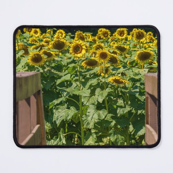 Item preview, Into the Sunflowers designed and sold by Craig Kauzmann.
