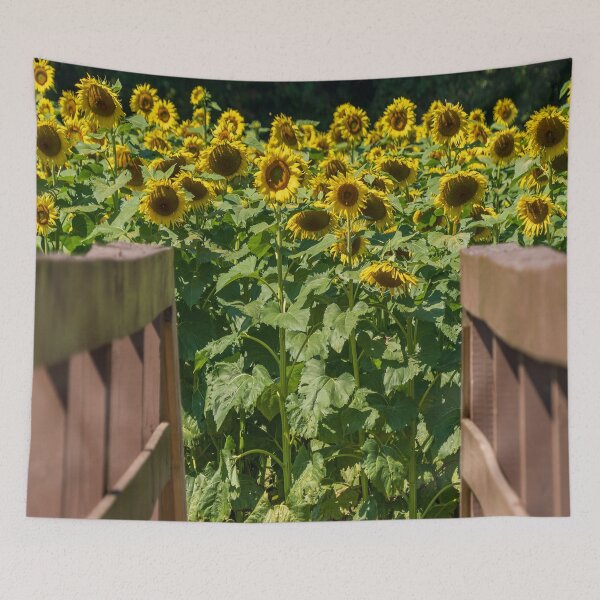 Item preview, Into the Sunflowers designed and sold by Craig Kauzmann.