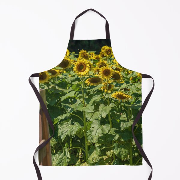 Item preview, Into the Sunflowers designed and sold by Craig Kauzmann.