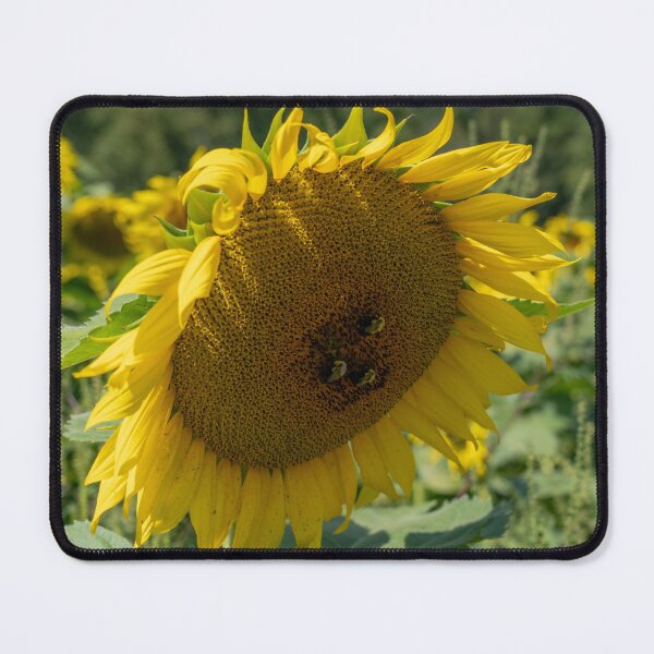 Item preview, Bumble Bees At Work designed and sold by Craig Kauzmann.