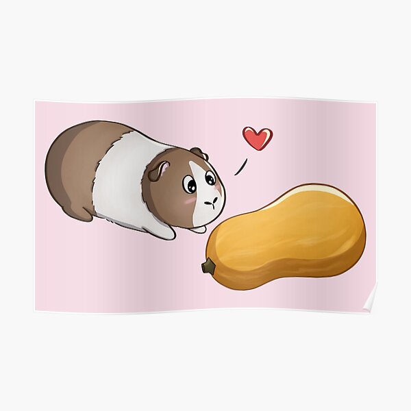 Meerschweinchen-Liebe Poster