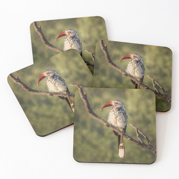 Item preview, Red-Billed Hornbill Zimbabwe Africa designed and sold by PhotoArt by Joan Carroll.