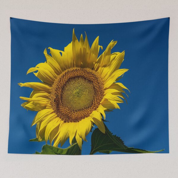 Item preview, Sunflower Blue Sky designed and sold by Craig Kauzmann.