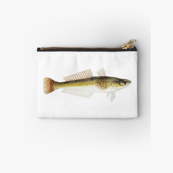 Item preview, Antique Fish Platycephalus Bassensis Vintage Fishing Lovers designed and sold by AmethystMurad.
