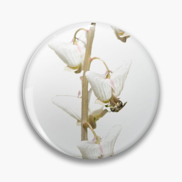Item preview, Dutchmans breeches wildflower designed and sold by KRFNatureGifts.