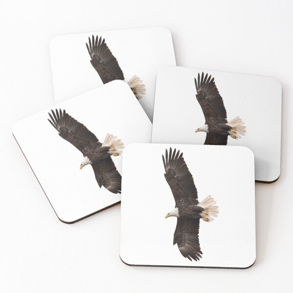 Item preview, Soaring eagle with full wingspan designed and sold by KRFNatureGifts.