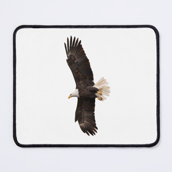 Item preview, Soaring eagle with full wingspan designed and sold by KRFNatureGifts.