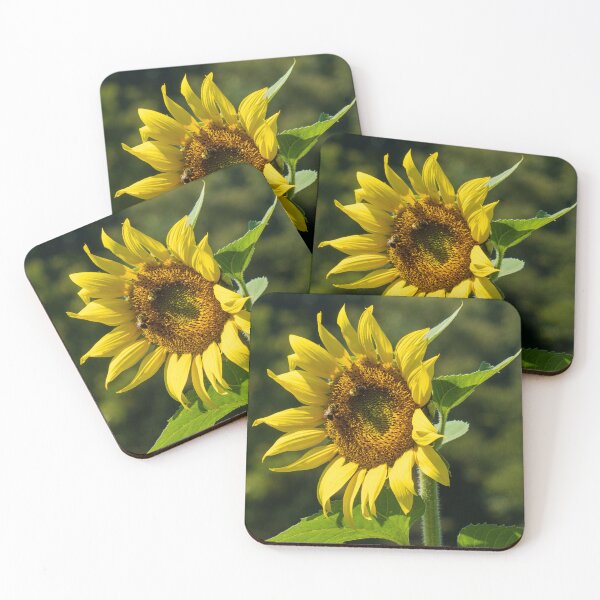 Item preview, Sunny Day Sunflower designed and sold by Craig Kauzmann.