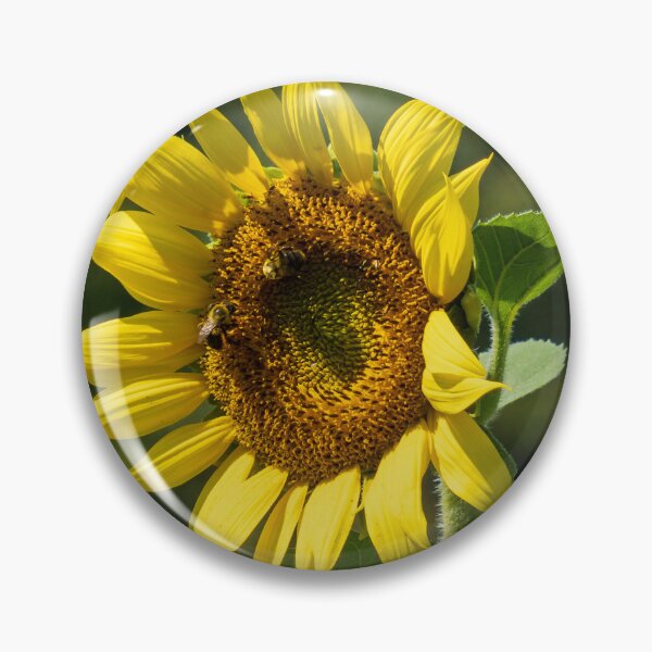 Item preview, Sunny Day Sunflower designed and sold by Craig Kauzmann.