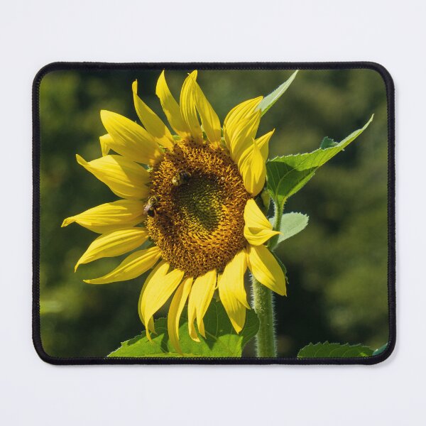 Item preview, Sunny Day Sunflower designed and sold by Craig Kauzmann.