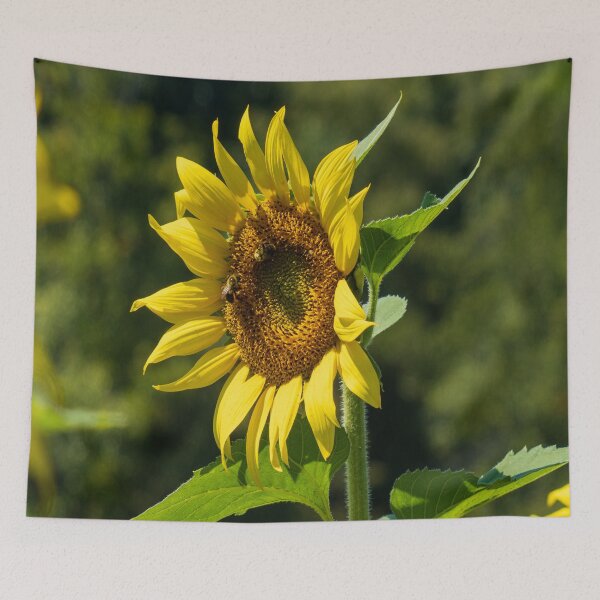 Item preview, Sunny Day Sunflower designed and sold by Craig Kauzmann.