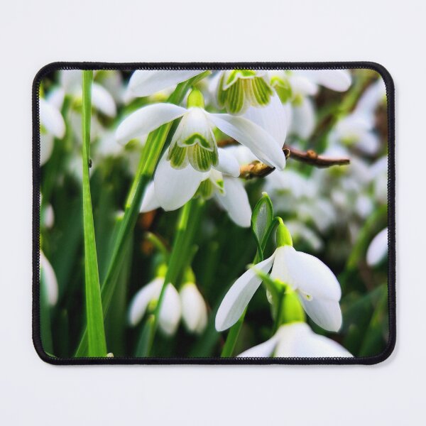 Item preview, Snowdrops designed and sold by Uimagined.