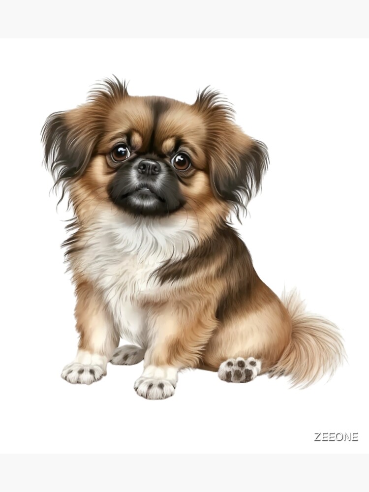 Tibetan Spaniel Blanket - XSmall