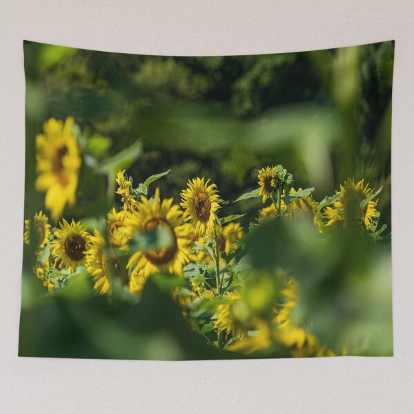 Artikelvorschau, Sunflower Watching entworfen und verkauft von Craig Kauzmann.