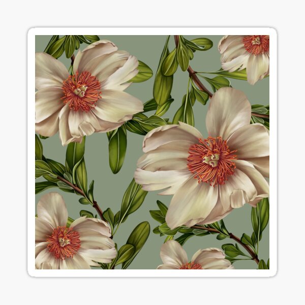 White Peonies Sticker