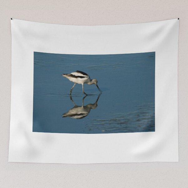 Item preview, Busy Feeding Avocet designed and sold by fototaker Tony.