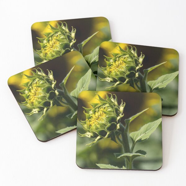 Item preview, Sunflower Awakening designed and sold by Craig Kauzmann.