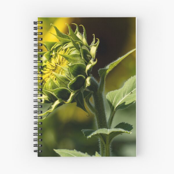 Item preview, Sunflower Awakening designed and sold by Craig Kauzmann.