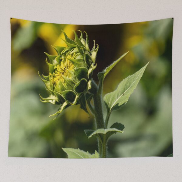 Item preview, Sunflower Awakening designed and sold by Craig Kauzmann.
