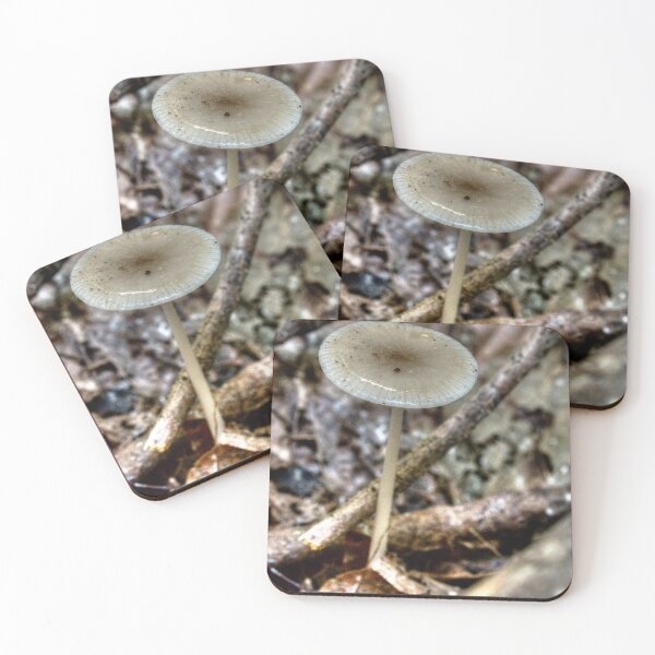 Item preview, Bonnet mushroom designed and sold by WCHGraphics.