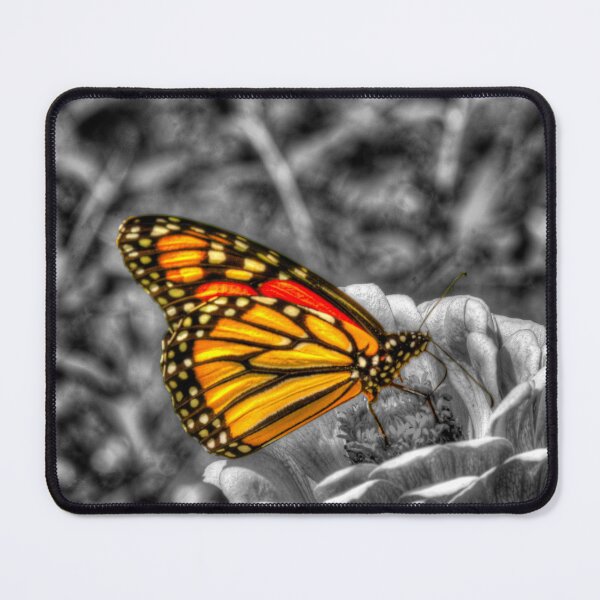 Item preview, Butter fly designed and sold by WCHGraphics.