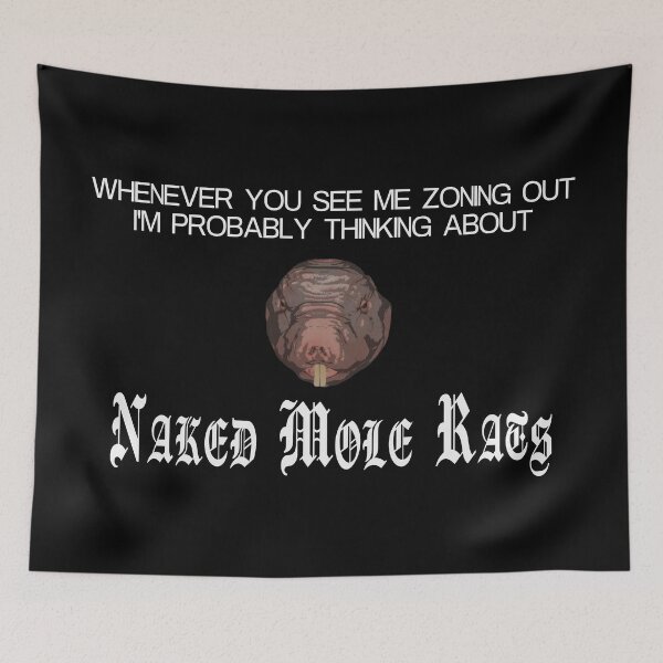Item preview, Whenever you see me zoning out I'm probably thinking about naked mole rats designed and sold by Timebird.