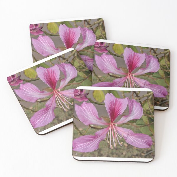 Item preview, Bauhinia x Blakenana Pink Flower designed and sold by StephanieWie27.