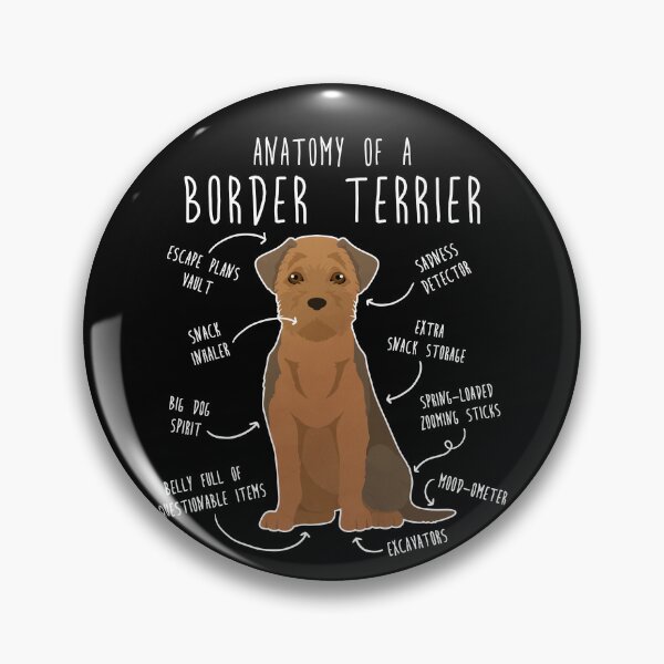 Item preview, Border Terrier Grizzle and Tan Dog Anatomy designed and sold by Clara Hollins.