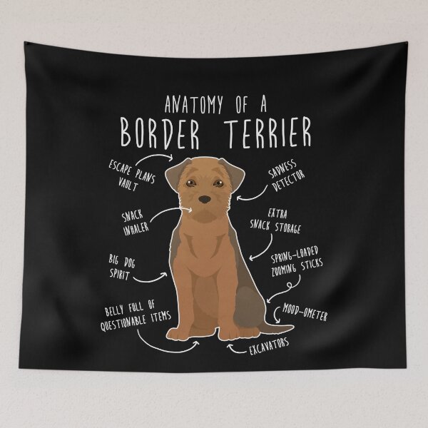 Item preview, Border Terrier Grizzle and Tan Dog Anatomy designed and sold by Clara Hollins.
