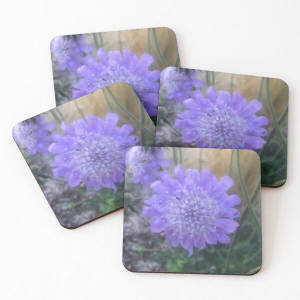 Item preview, Vivid purple bloom photo designed and sold by calliope2002.