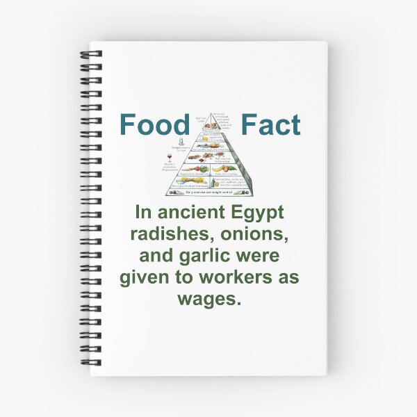 Item preview, In Ancient Egypt Radishes Onions And Garlic - Food Fact designed and sold by CrankyOldDude.