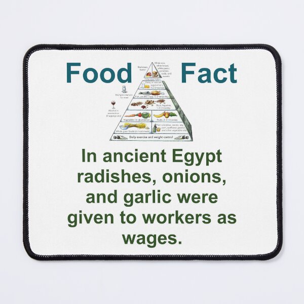 Item preview, In Ancient Egypt Radishes Onions And Garlic - Food Fact designed and sold by CrankyOldDude.