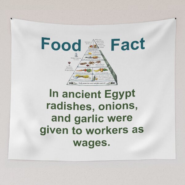 Item preview, In Ancient Egypt Radishes Onions And Garlic - Food Fact designed and sold by CrankyOldDude.