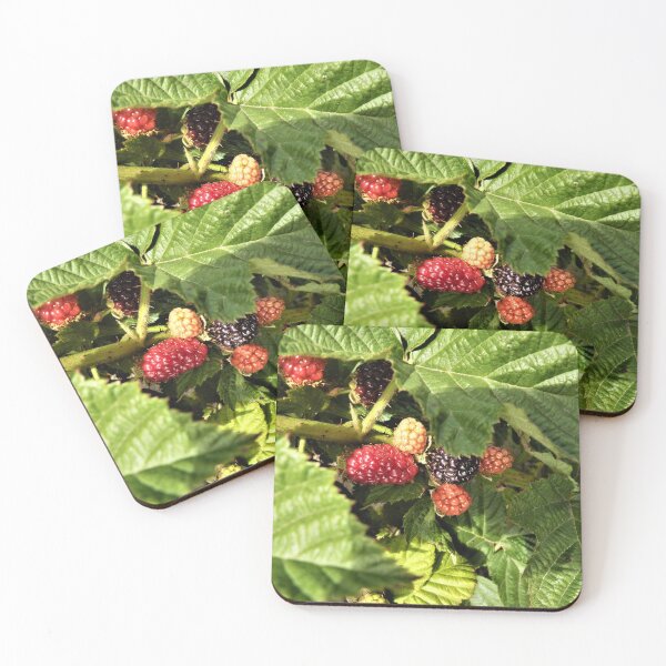 Item preview, Olallieberries in the Berry Patch designed and sold by Martha Sherman.