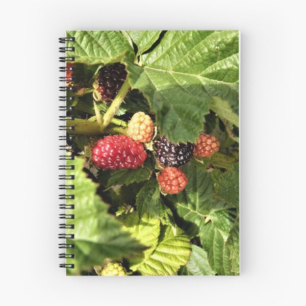 Item preview, Olallieberries in the Berry Patch designed and sold by Martha Sherman.
