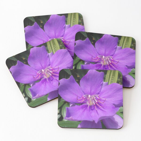 Item preview, Purple Flower - Original Photography designed and sold by JulienneJc.
