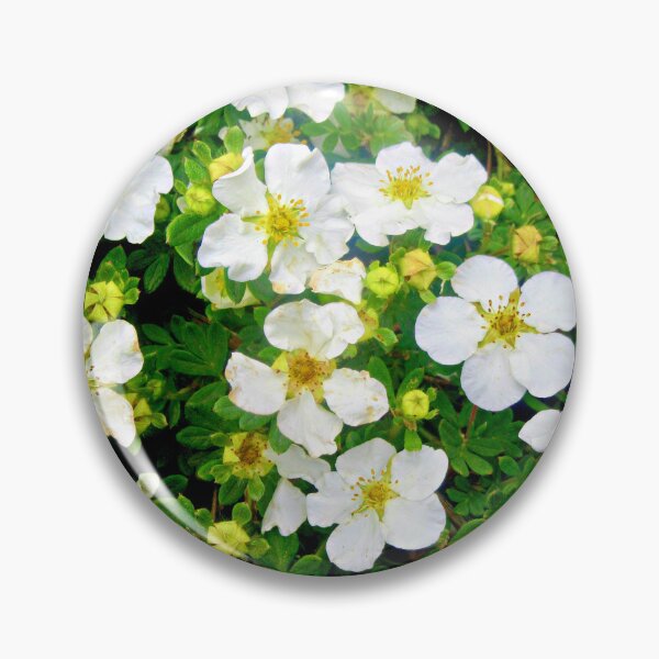 Item preview, Little white flowers designed and sold by Shulie1.