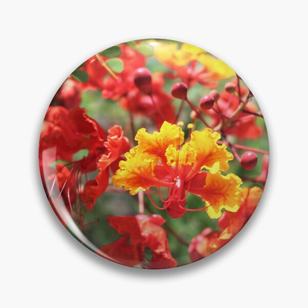 Item preview, Red Bird of Paradise designed and sold by Martha Sherman.