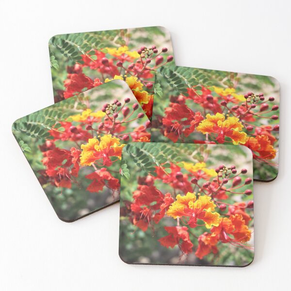 Item preview, Red Bird of Paradise designed and sold by Martha Sherman.