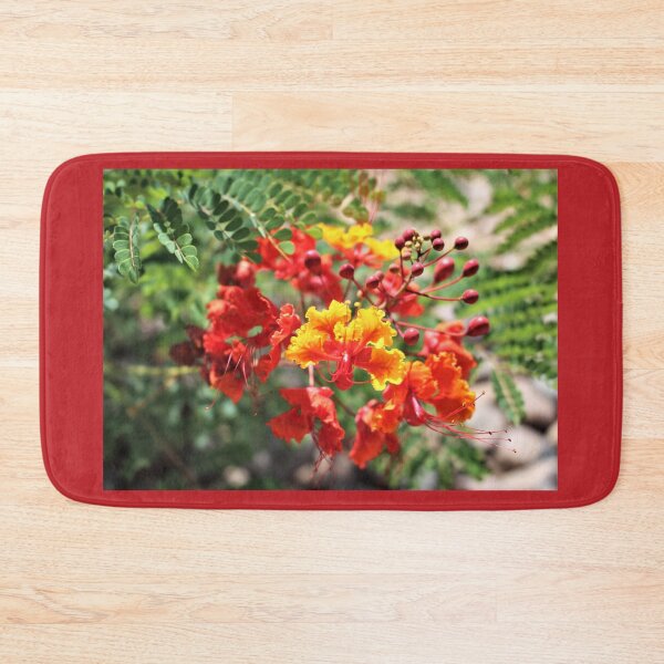 Item preview, Red Bird of Paradise designed and sold by Martha Sherman.