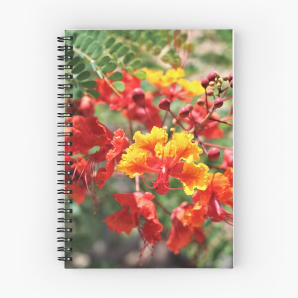 Item preview, Red Bird of Paradise designed and sold by Martha Sherman.