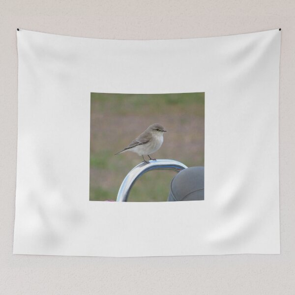 Item preview, Jacky Winter Bird on Motorcycle Bar designed and sold by StephanieWie27.