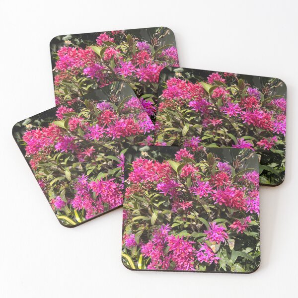 Item preview, Spring Pop designed and sold by Relmig.