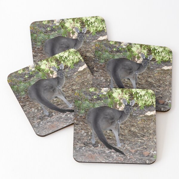 Item preview, Kangaroo peek a boo Yallingup WA designed and sold by Rainbow Farm Photography.