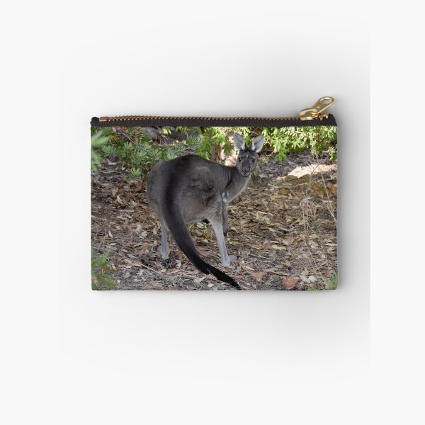 Item preview, Kangaroo peek a boo Yallingup WA designed and sold by Rainbow Farm Photography.