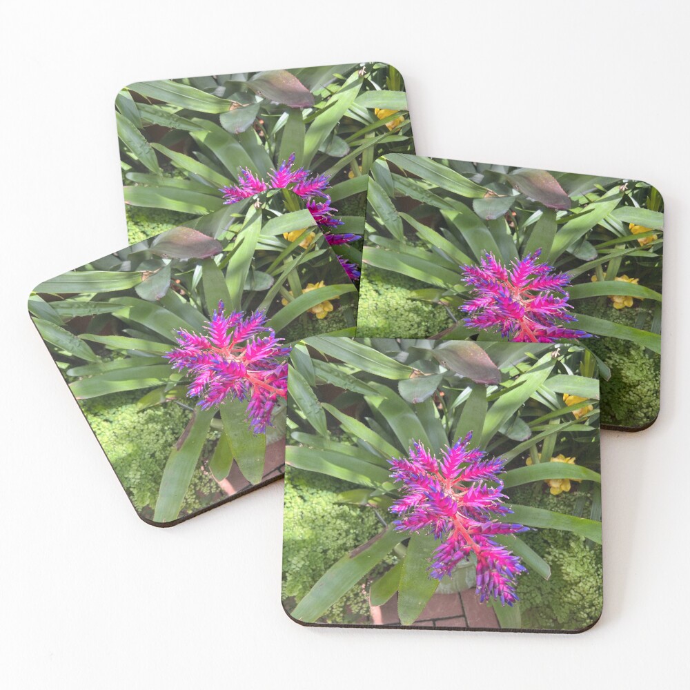 Item preview, Coasters (Set of 4) designed and sold by Relmig.