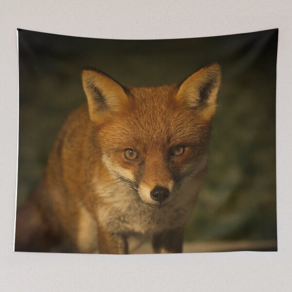 Item preview, The Wild Red Fox designed and sold by rawshutterbug.
